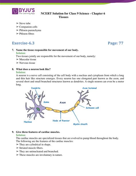 Ncert Solutions Class Science Chapter Tissues Updated For Cbse