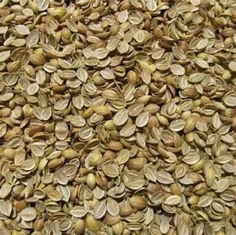 Dried Organic Coriander Split Seed For Spices Packaging Type Gunny