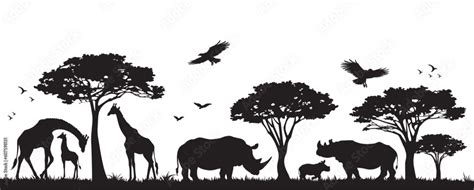 Silhouette of animals and birds in the savannah. African landscape ...