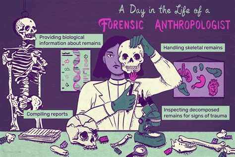 Forensic Anthropologist Job Description: Salary, Skills, & More