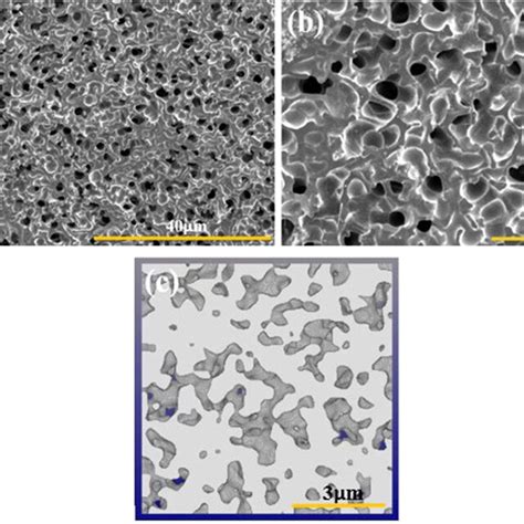 Sem Images Of A Surface And B Cross Sectional Morphology Of A