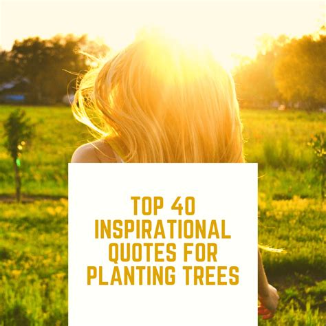 Planting Trees - Top 40 Inspirational Quotes For Planting Trees