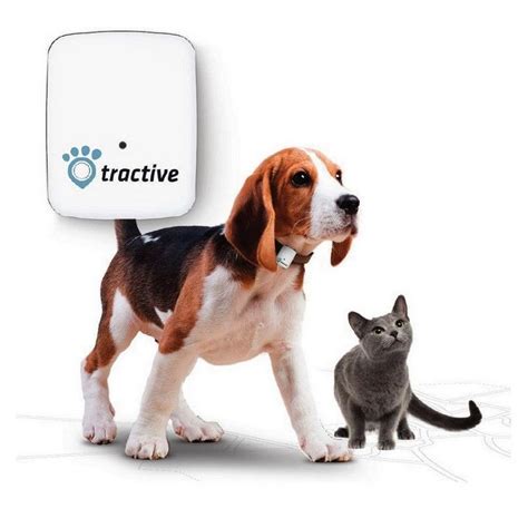 Tractive Gps Pet Tracker Digitiqe