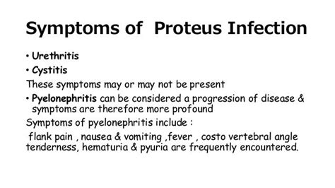 Proteus Vulgaris Disease Symptoms - Captions Tempo