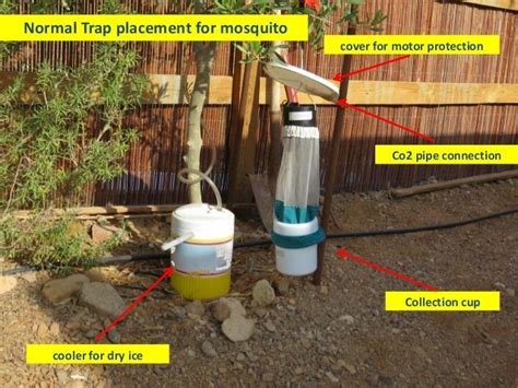 Cdc Mosquito Trap