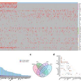 Genomic Landscape Of Acute Myeloid Leukemia AML A Gene Mutations