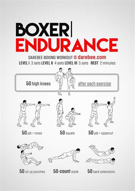 Boxer Endurance Workout Concentration Full Body Https