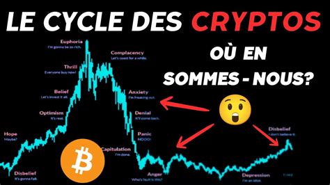 O Sommes Nous Dans Le Cycle Des Cryptos Anxi T Panique Espoir