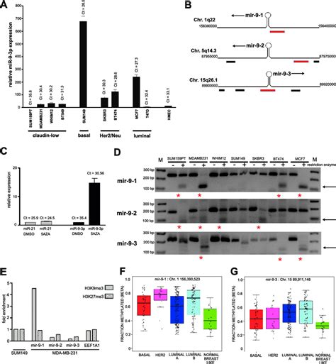 Mir 9 Loci Are Methylated In Breast Cancer Subtype Cell Lines A