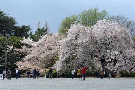 日本人は知らない中国とアメリカの「デジタル生活」、ここまで便利になっていた！（藤井 保文） マネー現代 講談社