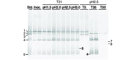 8 Denaturing Gradient Gel Electrophoresis Dgge Profiles Of Partial Download Scientific