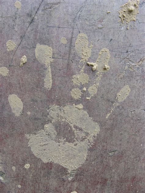 The Science Of Rigor Mortis And Post-Mortem Changes - RYZE Superfoods