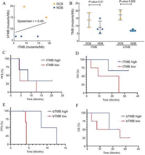 Baseline Btmb And Ttmb Are Correlated A The Dot Plot Shows The Btmb