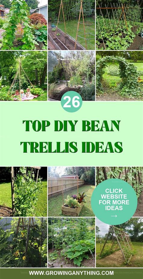 Creative Diy Bean Trellis Designs To Try Bean Trellis Green Bean