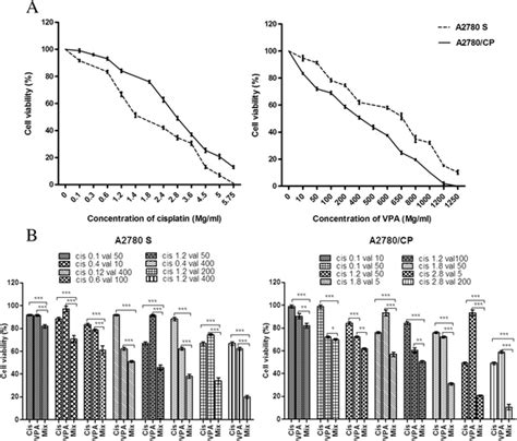 Combination Therapy Of Cisplatin And VPA Inhibited Ovarian Cancer Cell