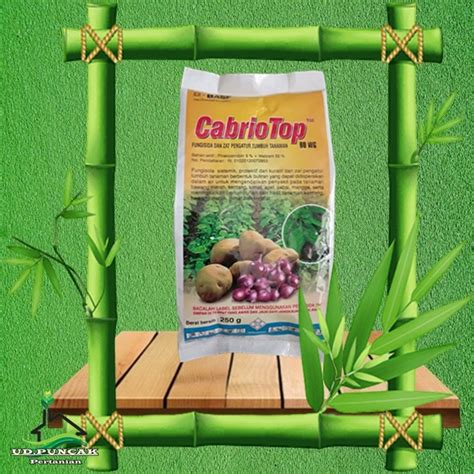 Jual Fungisida CABRIO TOP 60 WG 250gr Untuk Mengatasi Jamur Daun