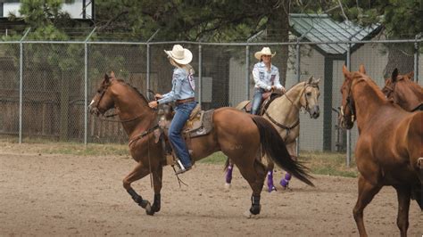 Prepped And Ready The Warm Up Barrel Horse News