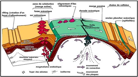 SVT de Zineb Nafzaouia Unité 4 Les phénomènes géologiques