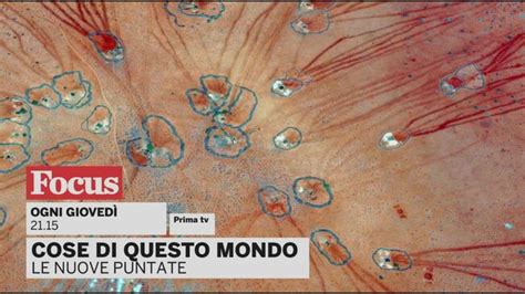 Cose Di Questo Mondo PrimaTv Promo Video Mediaset Infinity