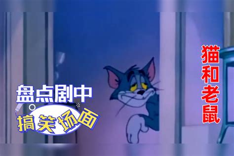 猫和老鼠：盘点剧中搞笑场面，汤姆总是能无辜躺枪，真是倒霉透了 汤姆 无辜 场面