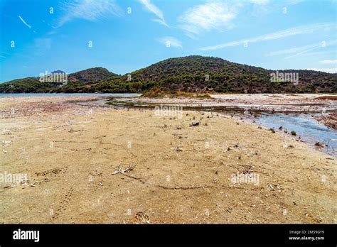 View Of The Famous Wetland At Vravrona At Attica Mesogeia Greece