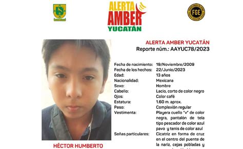 Lo Has Visto Alerta Amber Por Ni O Perdido En Yucat N