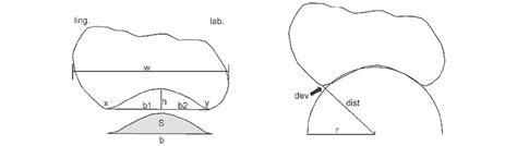 Parameters Measured Or Calculated In The Profile W The Maximum Width