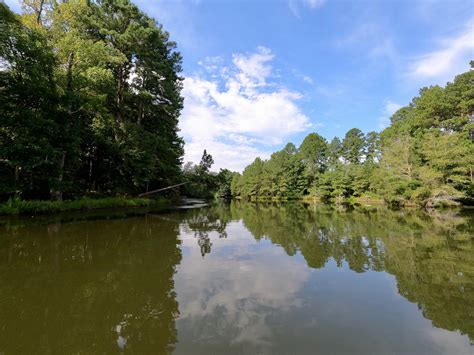 Dogwood Lakes Estate: East Lake