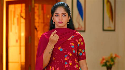 Watch Kalisi Unte Kaladu Sukham Full Episode 236 Online In HD On Hotstar US