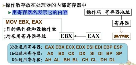 汇编语言 立即数寻址和寄存器寻址 Csdn博客