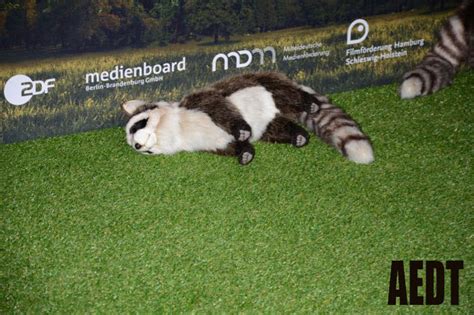 Gro Er Fanauflauf Bei Der Premiere Bibi Tina M Dchen Gegen Jungs