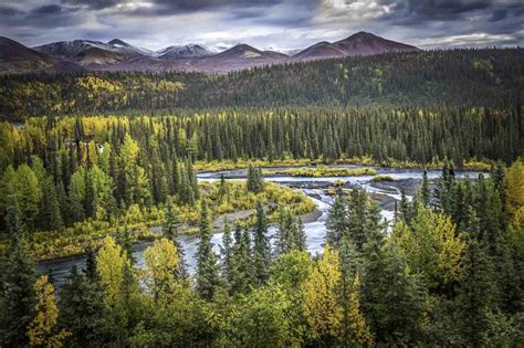 Alaskan Autumn: Alone in the North – AdventuresNW