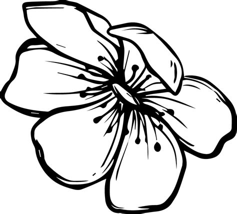 Flower Doodle Png Flower Doodle Png Transparent Free For Download On