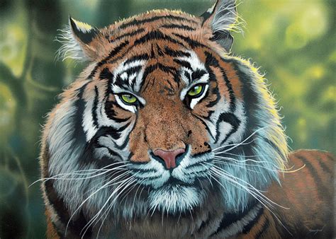 Tiger Portrait Painting By Atanasov Art