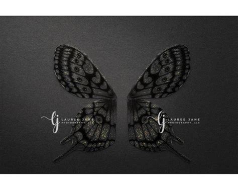 Butterfly Wings Newborn Digital Backdrop Newborn Wings Unique Grey