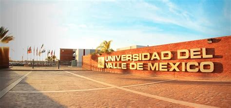 Estas Son Las Mejores Becas Uvm Para Ti 2024 2025 🥇