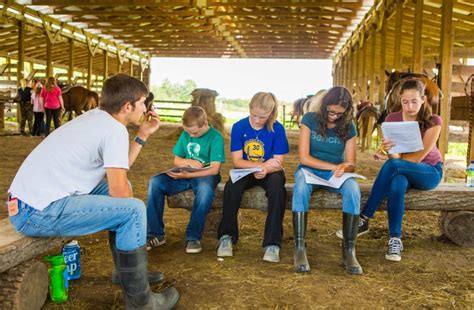 Horse Specialty Intervarsity Circle Square Ranch Spruce Woods