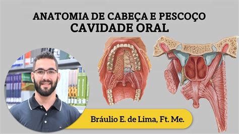 Anatomia De Cabe A E Pesco O Cavidade Oral Youtube