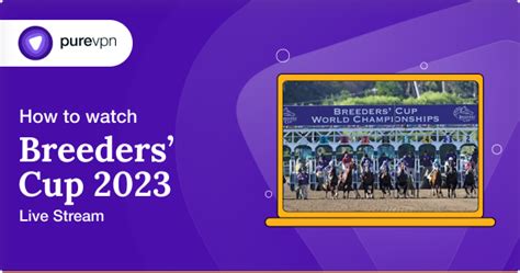 How to Watch Breeders Cup 2024 Live Stream