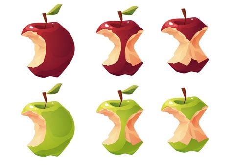 Premium Vector Red And Green Apple Core Set Cartoon Vector Illustration