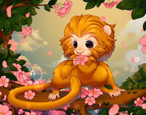 [C] Golden lion tamarin monkey.*+ by yuki-akamura on DeviantArt