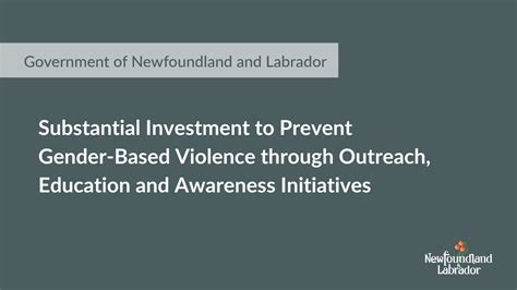 Substantial Investment To Prevent Gender Based Violence Through Outreach Education And