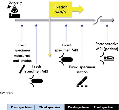 Figure From Objective Measurement Of The Distal Resection Margin By