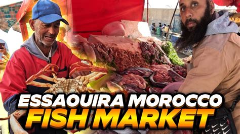 Discover The Hidden Gems Of Essaouira Morocco Fish Market