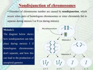 Aneuploidy | PPT