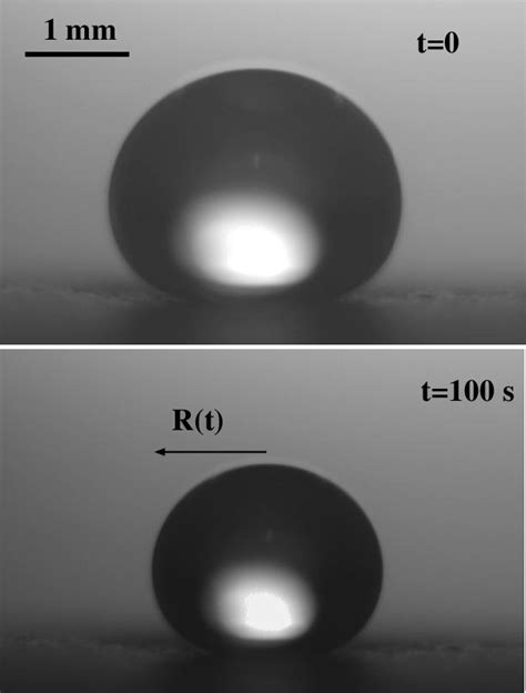 View from the side of the Leidenfrost droplet for t = 0 s and t = 100 s ...