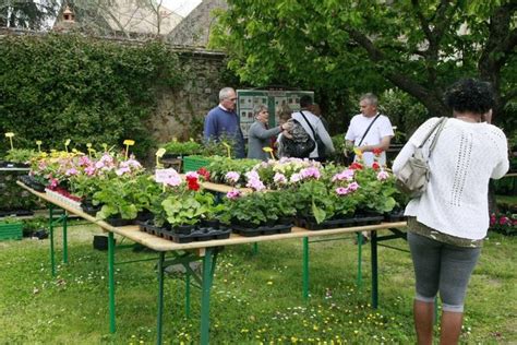 La foire aux plantes a été dévalisée Villeneuve la Guyard 89340