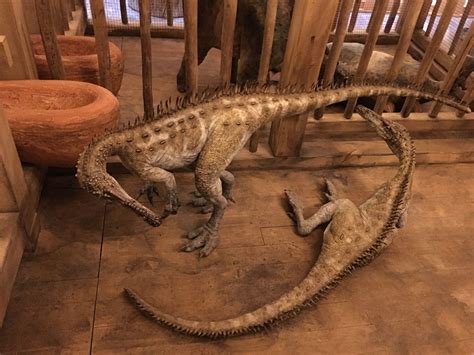 Pin By Ronnie King On Ark Encounter Prehistoric Creatures Extinct