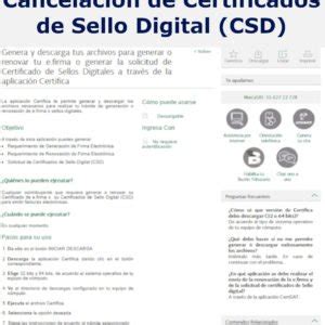 Todo Lo Que Necesitas Saber Sobre El Certificado De Sello Digital Csd