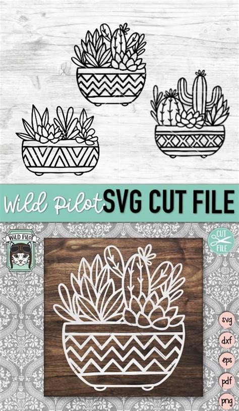 Cactus Svg File Succulent Svg File Cactus Cut File Cactus Planter Svg